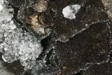 Polished Septarian Geode Sculpture - Black Crystals #99441-2
